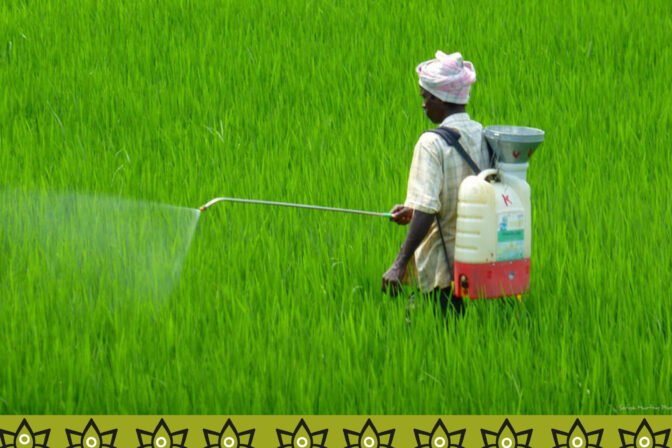 CONTINUED USE OF AGROCHEMICALS FUELING DEATH DUE TO NCDS. TIME TO CRACK THE WHIP.