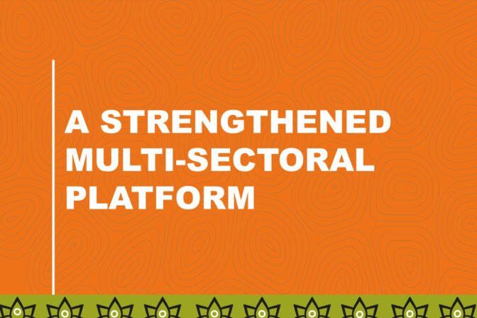 A STRENGTHENED MULTI-SECTORAL PLATFORM AT GOVERNMENT LEVEL.